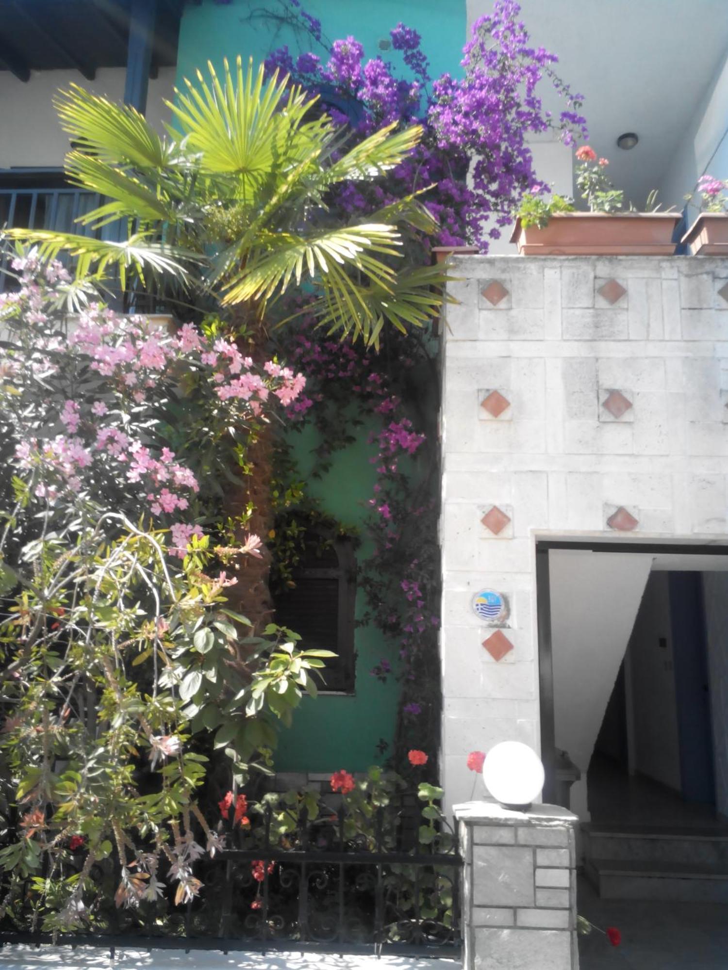 Tassos 2 Aparthotel Pefkochori Luaran gambar